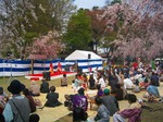 <b>山代温泉</b>の恒例行事「山代園遊会」が開催されます。