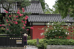 百日紅（さるすべり）の花が咲き誇っていますね。: 北陸<b>石川県山代温泉</b> <b>...</b>
